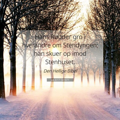 Picture 07 - Job 8:17 DA1871 - Hans Rødder gro i hverandre om Stendyngen; han - Bible Verse Picture