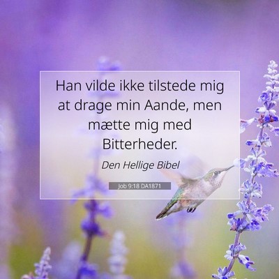 Picture 07 - Job 9:18 DA1871 - Han vilde ikke tilstede mig at drage min Aande, - Bible Verse Picture