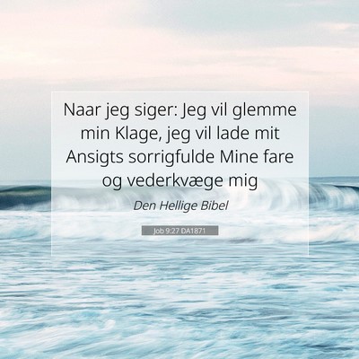 Picture 07 - Job 9:27 DA1871 - Naar jeg siger: Jeg vil glemme min Klage, jeg vil - Bible Verse Picture