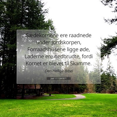 Picture 07 - Joel 1:17 DA1871 - Sædekornene ere raadnede under Jordskorpen, - Bible Verse Picture