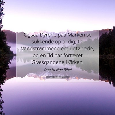 Picture 07 - Joel 1:20 DA1871 - Ogsaa Dyrene paa Marken se sukkende op til dig; - Bible Verse Picture