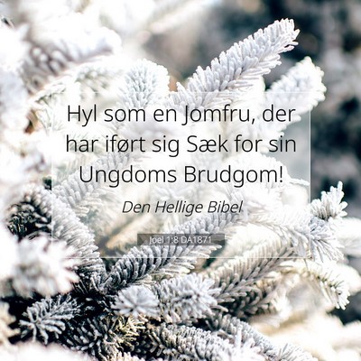 Picture 07 - Joel 1:8 DA1871 - Hyl som en Jomfru, der har iført sig Sæk for - Bible Verse Picture
