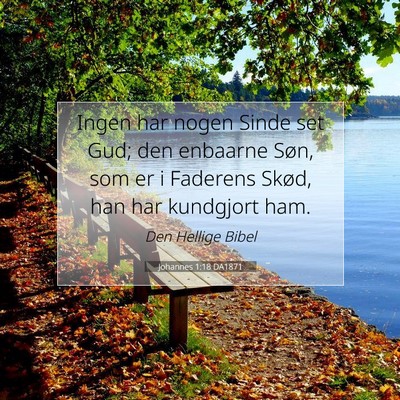 Picture 07 - Johannes 1:18 DA1871 - Ingen har nogen Sinde set Gud; den enbaarne Søn, - Bible Verse Picture