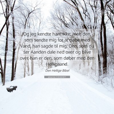 Picture 07 - Johannes 1:33 DA1871 - Og jeg kendte ham ikke; men den, som sendte mig - Bible Verse Picture