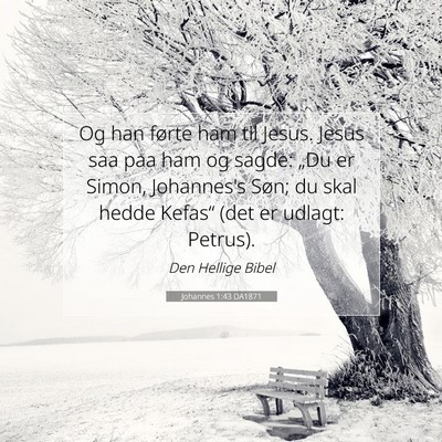 Picture 07 - Johannes 1:43 DA1871 - Og han førte ham til Jesus. Jesus saa paa ham og - Bible Verse Picture