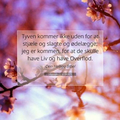 Picture 07 - Johannes 10:10 DA1871 - Tyven kommer ikke uden for at stjæle og slagte - Bible Verse Picture