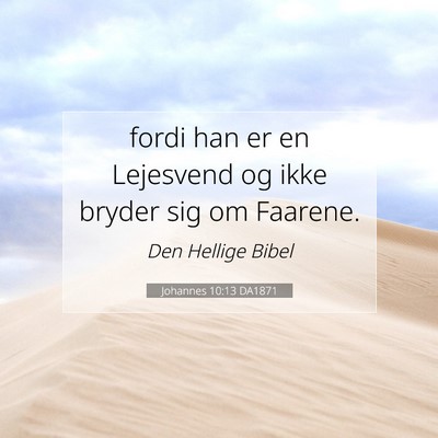 Picture 07 - Johannes 10:13 DA1871 - fordi han er en Lejesvend og ikke bryder sig om - Bible Verse Picture
