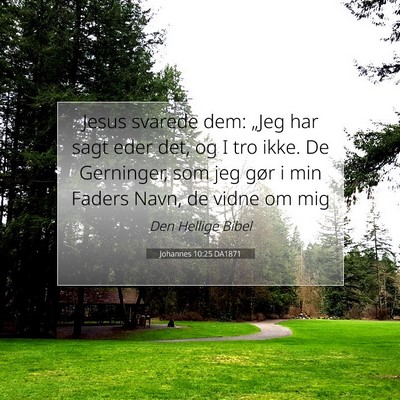Picture 07 - Johannes 10:25 DA1871 - Jesus svarede dem: „Jeg har sagt eder det, og I - Bible Verse Picture