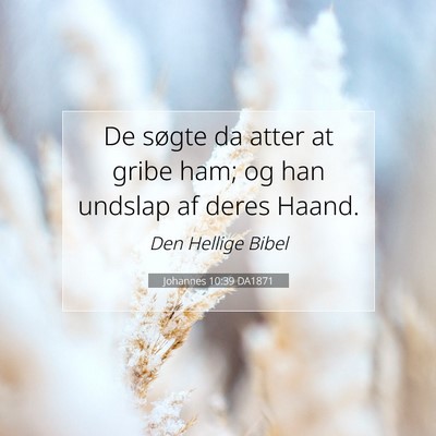 Picture 07 - Johannes 10:39 DA1871 - De søgte da atter at gribe ham; og han undslap - Bible Verse Picture