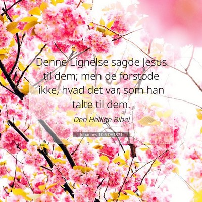Picture 07 - Johannes 10:6 DA1871 - Denne Lignelse sagde Jesus til dem; men de - Bible Verse Picture