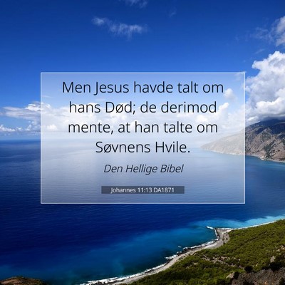 Picture 07 - Johannes 11:13 DA1871 - Men Jesus havde talt om hans Død; de derimod - Bible Verse Picture