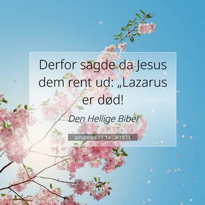 Picture 07 - Johannes 11:14 DA1871 - Derfor sagde da Jesus dem rent ud: „Lazarus er - Bible Verse Picture