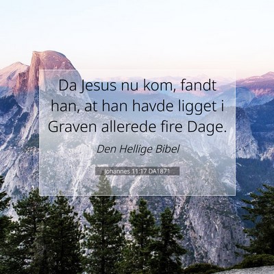Picture 07 - Johannes 11:17 DA1871 - Da Jesus nu kom, fandt han, at han havde ligget i - Bible Verse Picture