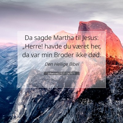 Picture 07 - Johannes 11:21 DA1871 - Da sagde Martha til Jesus: „Herre! havde du - Bible Verse Picture