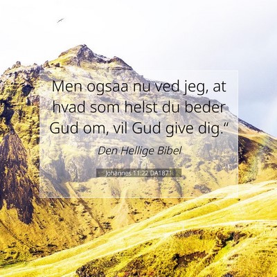 Picture 07 - Johannes 11:22 DA1871 - Men ogsaa nu ved jeg, at hvad som helst du beder - Bible Verse Picture