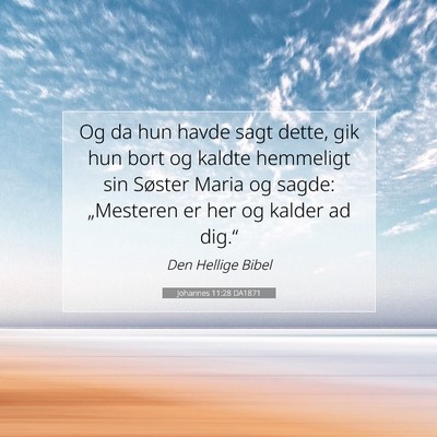 Picture 07 - Johannes 11:28 DA1871 - Og da hun havde sagt dette, gik hun bort og - Bible Verse Picture