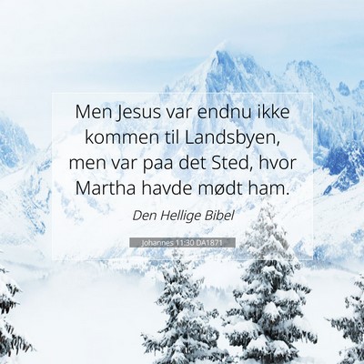 Picture 07 - Johannes 11:30 DA1871 - Men Jesus var endnu ikke kommen til Landsbyen, - Bible Verse Picture