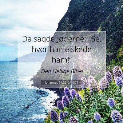 Picture 07 - Johannes 11:36 DA1871 - Da sagde Jøderne: „Se, hvor han elskede - Bible Verse Picture