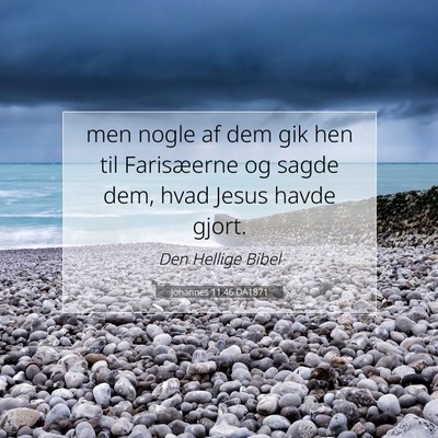 Picture 07 - Johannes 11:46 DA1871 - men nogle af dem gik hen til Farisæerne og sagde - Bible Verse Picture