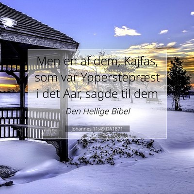 Picture 07 - Johannes 11:49 DA1871 - Men en af dem, Kajfas, som var Ypperstepræst i - Bible Verse Picture
