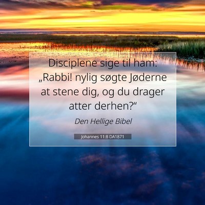 Picture 07 - Johannes 11:8 DA1871 - Disciplene sige til ham: „Rabbi! nylig søgte - Bible Verse Picture