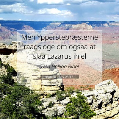 Picture 07 - Johannes 12:10 DA1871 - Men Ypperstepræsterne raadsloge om ogsaa at slaa - Bible Verse Picture