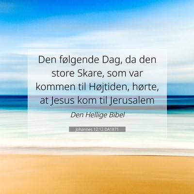 Picture 07 - Johannes 12:12 DA1871 - Den følgende Dag, da den store Skare, som var - Bible Verse Picture