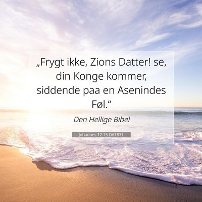 Picture 07 - Johannes 12:15 DA1871 - „Frygt ikke, Zions Datter! se, din Konge - Bible Verse Picture