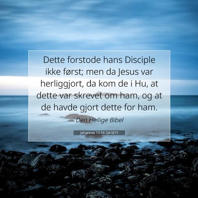 Picture 07 - Johannes 12:16 DA1871 - Dette forstode hans Disciple ikke først; men da - Bible Verse Picture