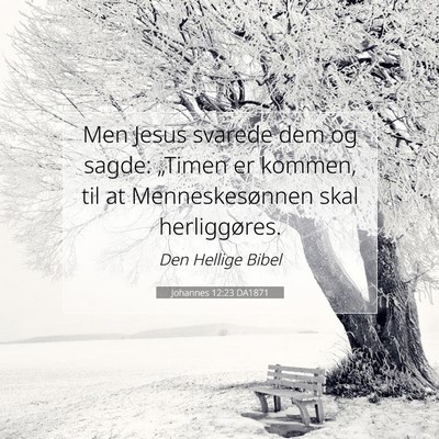 Picture 07 - Johannes 12:23 DA1871 - Men Jesus svarede dem og sagde: „Timen er - Bible Verse Picture