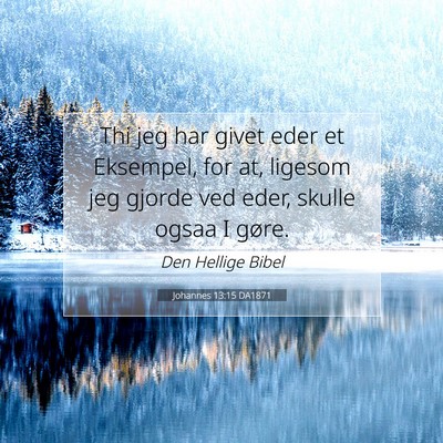 Picture 07 - Johannes 13:15 DA1871 - Thi jeg har givet eder et Eksempel, for at, - Bible Verse Picture
