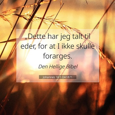 Picture 07 - Johannes 16:1 DA1871 - „Dette har jeg talt til eder, for at I ikke - Bible Verse Picture