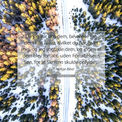 Picture 07 - Johannes 17:12 DA1871 - Da jeg var hos dem, bevarede jeg dem i dit Navn, - Bible Verse Picture