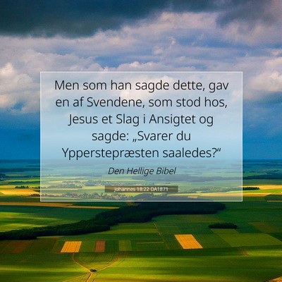 Picture 07 - Johannes 18:22 DA1871 - Men som han sagde dette, gav en af Svendene, som - Bible Verse Picture