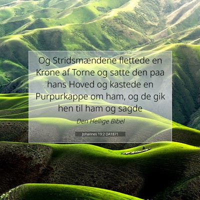 Picture 07 - Johannes 19:2 DA1871 - Og Stridsmændene flettede en Krone af Torne og - Bible Verse Picture