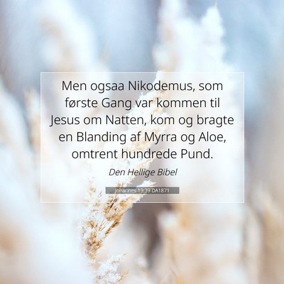 Picture 07 - Johannes 19:39 DA1871 - Men ogsaa Nikodemus, som første Gang var kommen - Bible Verse Picture