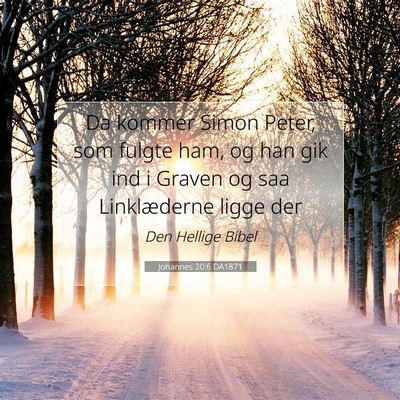 Picture 07 - Johannes 20:6 DA1871 - Da kommer Simon Peter, som fulgte ham, og han gik - Bible Verse Picture