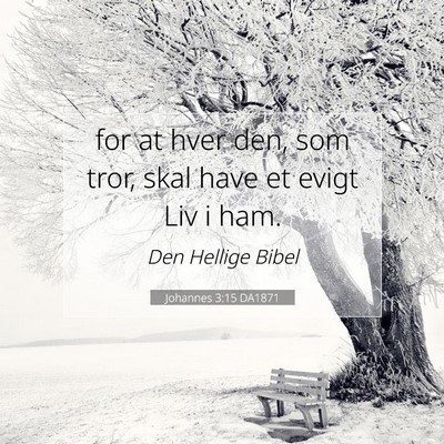 Picture 07 - Johannes 3:15 DA1871 - for at hver den, som tror, skal have et evigt Liv - Bible Verse Picture
