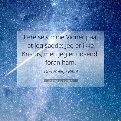 Picture 07 - Johannes 3:28 DA1871 - I ere selv mine Vidner paa, at jeg sagde: Jeg er - Bible Verse Picture