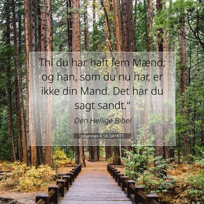 Picture 07 - Johannes 4:18 DA1871 - Thi du har haft fem Mænd; og han, som du nu har, - Bible Verse Picture