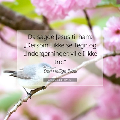 Picture 07 - Johannes 4:48 DA1871 - Da sagde Jesus til ham: „Dersom I ikke se Tegn - Bible Verse Picture
