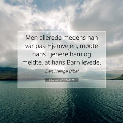 Picture 07 - Johannes 4:51 DA1871 - Men allerede medens han var paa Hjemvejen, mødte - Bible Verse Picture