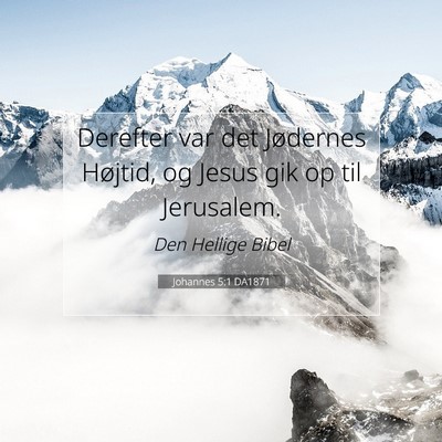 Picture 07 - Johannes 5:1 DA1871 - Derefter var det Jødernes Højtid, og Jesus gik - Bible Verse Picture