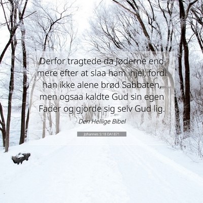 Picture 07 - Johannes 5:18 DA1871 - Derfor tragtede da Jøderne end mere efter at - Bible Verse Picture