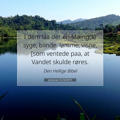 Picture 07 - Johannes 5:3 DA1871 - I dem laa der en Mængde syge, blinde, lamme, - Bible Verse Picture