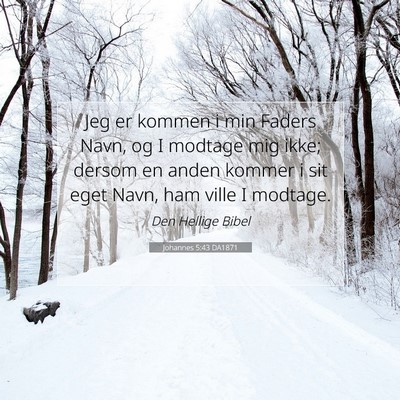 Picture 07 - Johannes 5:43 DA1871 - Jeg er kommen i min Faders Navn, og I modtage mig - Bible Verse Picture