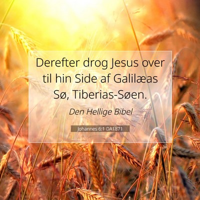 Picture 07 - Johannes 6:1 DA1871 - Derefter drog Jesus over til hin Side af - Bible Verse Picture