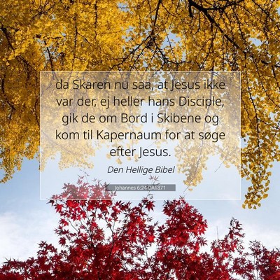 Picture 07 - Johannes 6:24 DA1871 - da Skaren nu saa, at Jesus ikke var der, ej - Bible Verse Picture