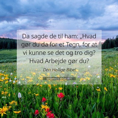 Picture 07 - Johannes 6:30 DA1871 - Da sagde de til ham: „Hvad gør du da for et - Bible Verse Picture