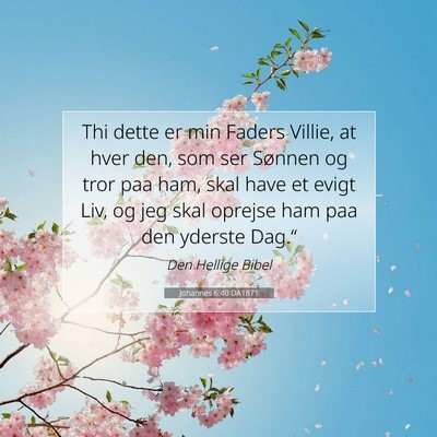 Picture 07 - Johannes 6:40 DA1871 - Thi dette er min Faders Villie, at hver den, som - Bible Verse Picture